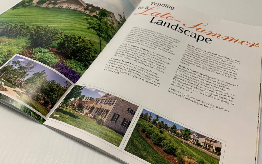 LVII Living Wants to Feature Your Story